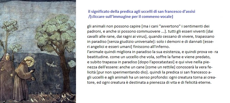 significatodellapredicaagliuccellidisanfrancesco