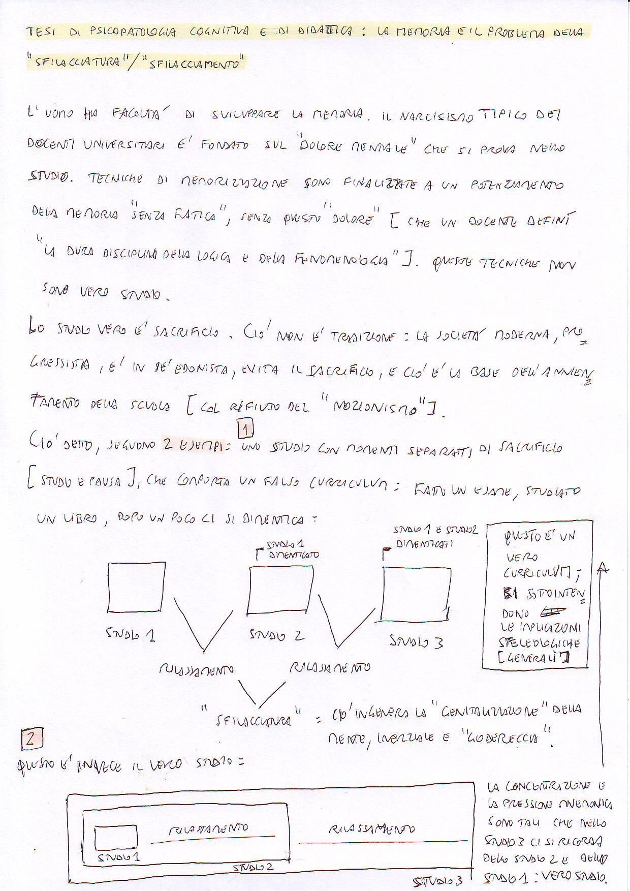 teoriadipsicologiacognitivaedididatticasullostudioamemoria